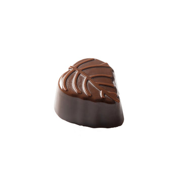 Mint Refresher Truffle Belgian Chocolate
